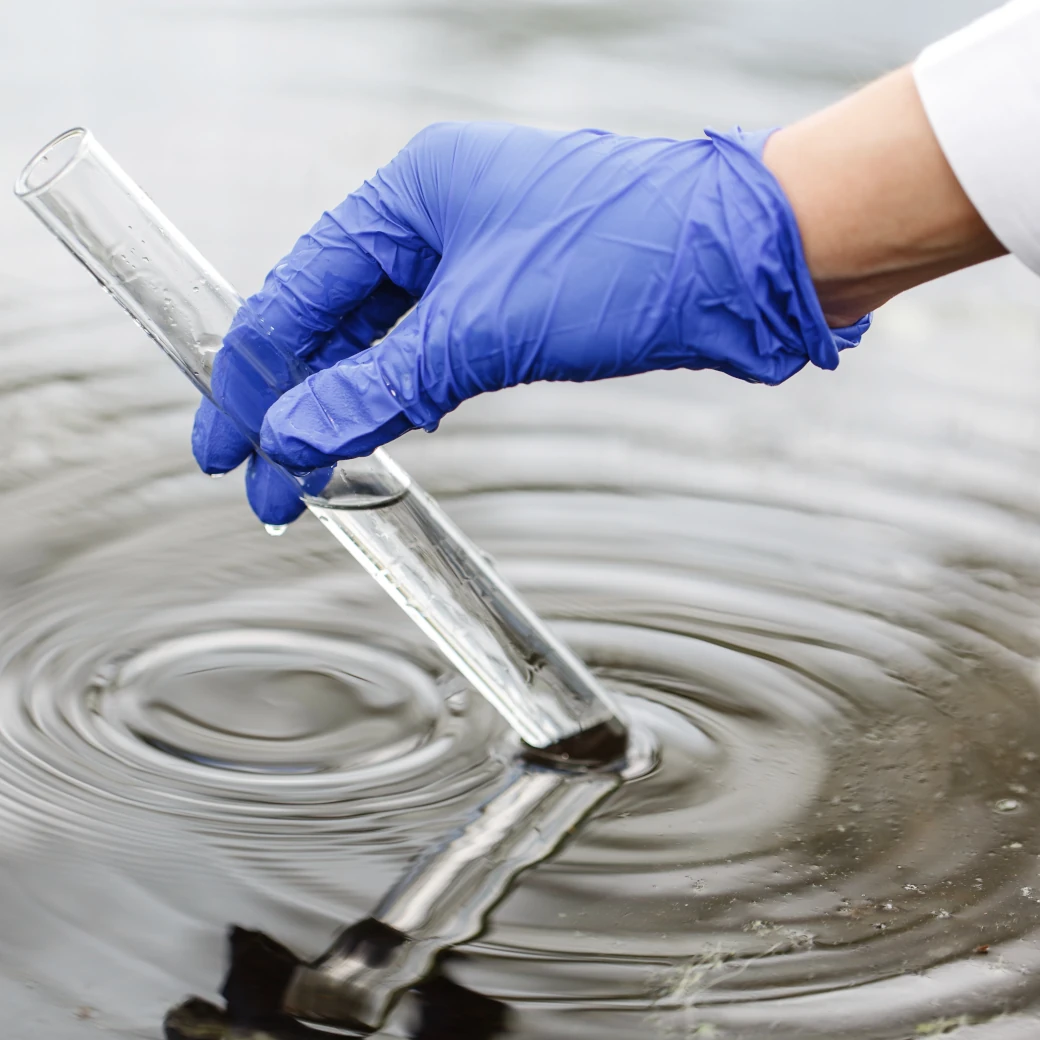 Imagem ilustrativa do serviço de Amostragem