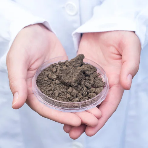 Imagem ilustrativa do serviço de Análise de Solo